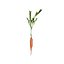 Vegetable Plant 3D Collection