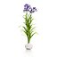 Vegetable Plant 3D Collection
