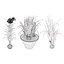 Vegetable Plant 3D Collection