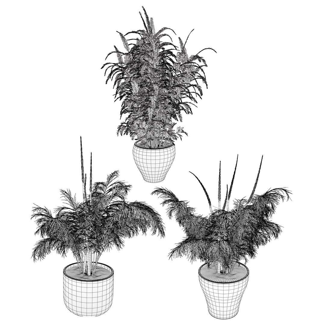 Vegetable Plant 3D Collection model https://p.turbosquid.com/ts-thumb/Fb/Jqvh18/gA/stemsproutsasparagusplant5/jpg/1740608179/1920x1080/fit_q87/aa1bc4ee376c6043b0fccde42c07ba7ef2ecfedf/stemsproutsasparagusplant5.jpg