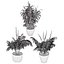 Vegetable Plant 3D Collection