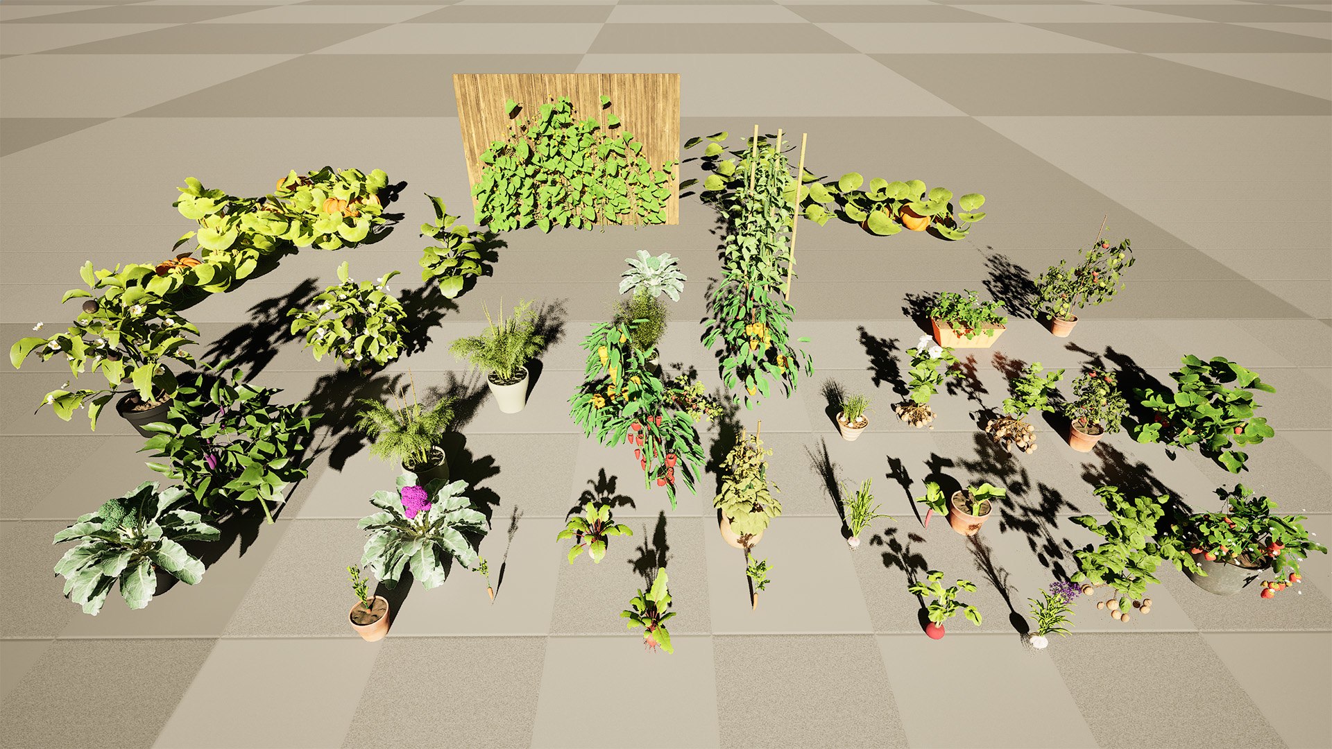 Vegetable Plant 3D Collection model https://p.turbosquid.com/ts-thumb/Fb/Jqvh18/gr/highresscreenshot00014/jpg/1740608017/1920x1080/fit_q87/94d0c15cd2da24b6eccd44501f10124e4ea07590/highresscreenshot00014.jpg