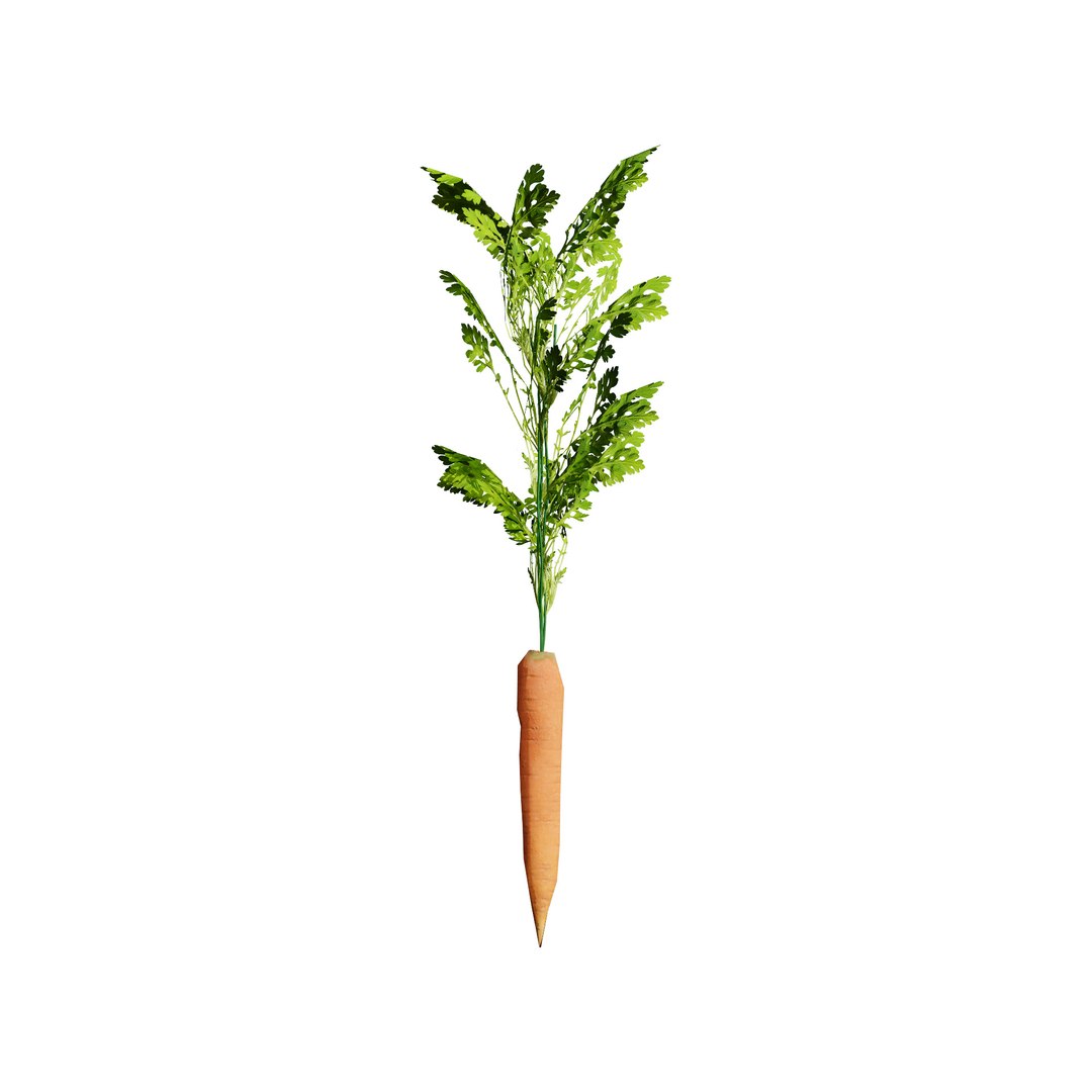 Vegetable Plant 3D Collection model https://p.turbosquid.com/ts-thumb/Fb/Jqvh18/oT/3dcarrotplant2/jpg/1740608039/1920x1080/fit_q87/c6b425cc4069221ff35b8f7f7a1885c87108c1ef/3dcarrotplant2.jpg