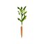 Vegetable Plant 3D Collection
