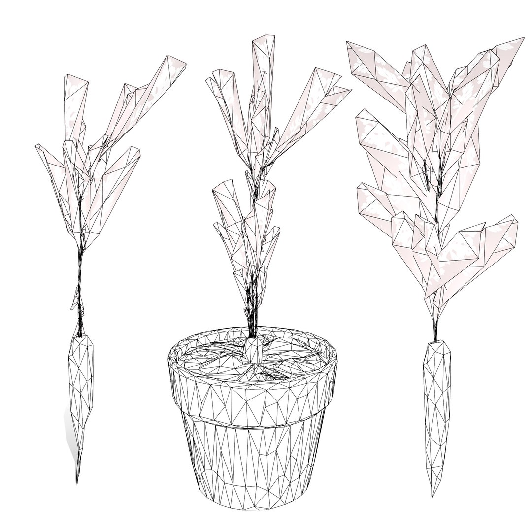 Vegetable Plant 3D Collection model https://p.turbosquid.com/ts-thumb/Fb/Jqvh18/tH/3dcarrotplant7/jpg/1740608171/1920x1080/fit_q87/ebe212972862b0fb33bb3320244db16980249296/3dcarrotplant7.jpg