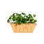 Vegetable Plant 3D Collection