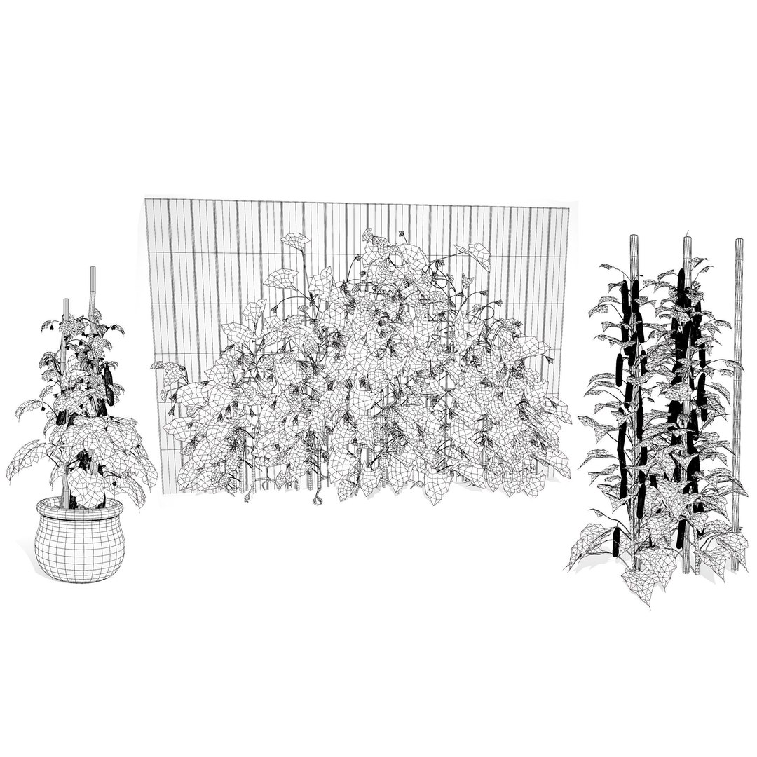 Vegetable Plant 3D Collection model https://p.turbosquid.com/ts-thumb/Fb/Jqvh18/xH/cucumberplantbundle9/jpg/1740608174/1920x1080/fit_q87/a3327cffa471071722ca5cdbede3ef553e7adfb9/cucumberplantbundle9.jpg