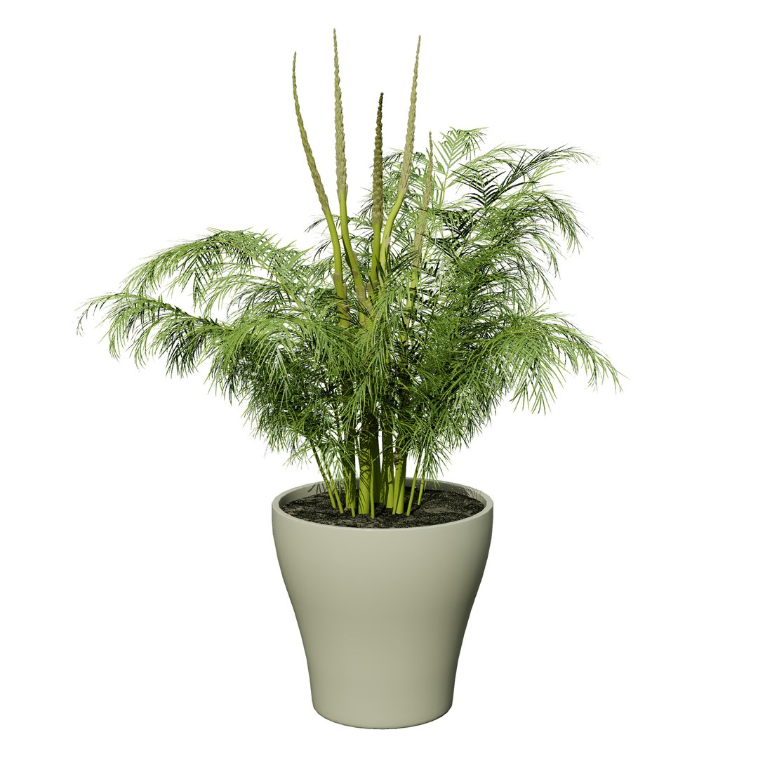 Vegetable Plant 3D Collection model https://p.turbosquid.com/ts-thumb/Fb/Jqvh18/z0/stemsproutsasparagusplant2/jpg/1740608055/1920x1080/fit_q87/2b656f6391690223cba1ba62b54df929e2189609/stemsproutsasparagusplant2.jpg