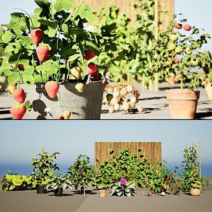 Vegetable Plant 3D Collection model