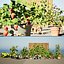 Vegetable Plant 3D Collection