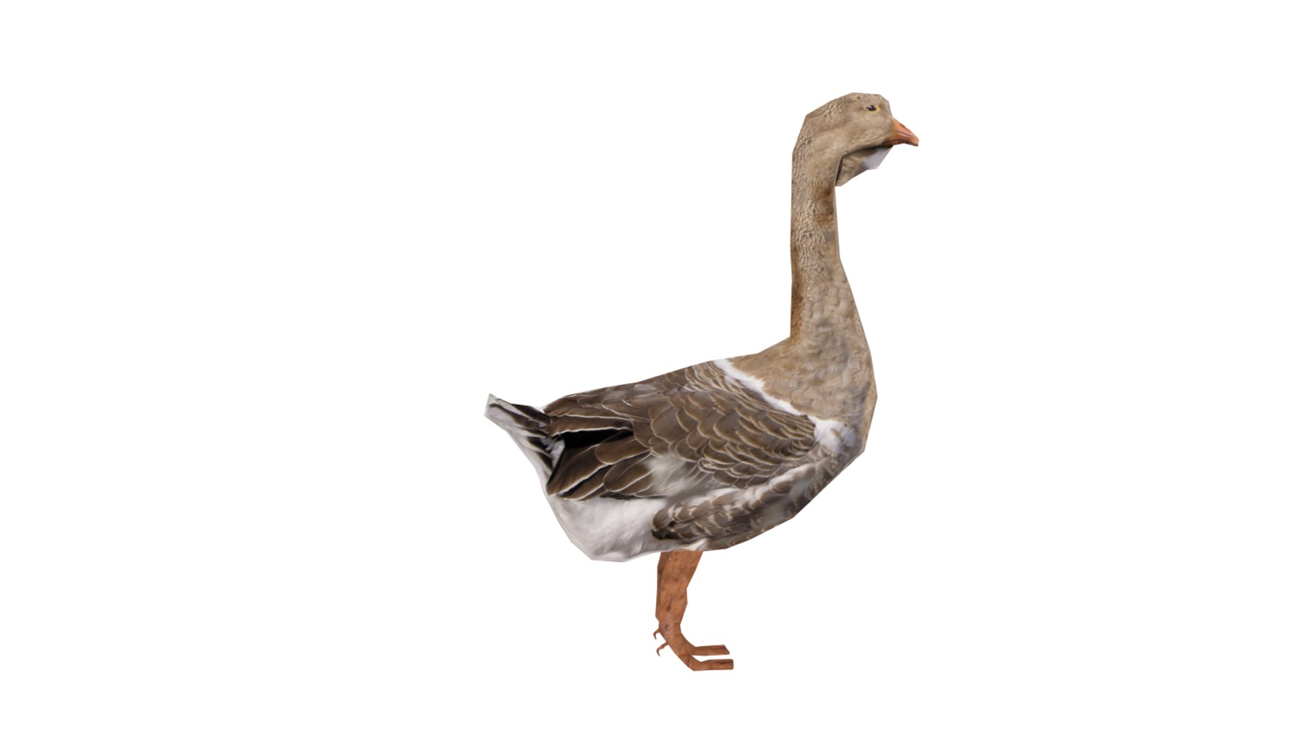 3d duck vr https://p.turbosquid.com/ts-thumb/Fb/OjzXhL/Ac1WWiOm/05/png/1485676253/1920x1080/fit_q87/1565ff5367bdf4dd30504cdc4cb05a6bb4c2303c/05.jpg