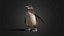 African Penguin Baby Low poly - Animated