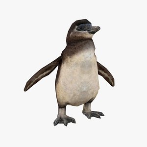 3D baby penguin