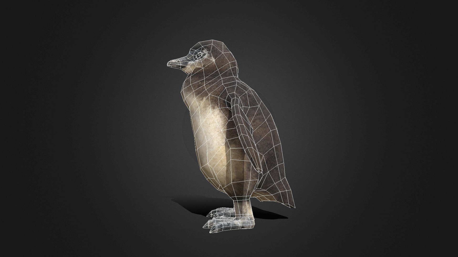 3D baby penguin https://p.turbosquid.com/ts-thumb/Fb/ZKye8v/oZ/africanpenguinbaby_0017_layer6/png/1612463005/1920x1080/fit_q87/c8de0841506f6bf86854ab4a4023706e110b8deb/africanpenguinbaby_0017_layer6.jpg