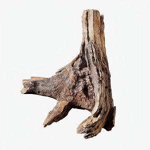 3D Scanned Trimmed Tree Wood 15