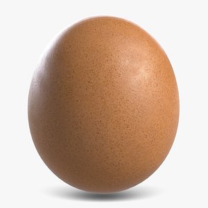 3d model of chicken egg