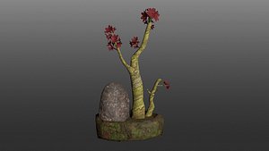 Bonsai Pot Low Poly 3d model