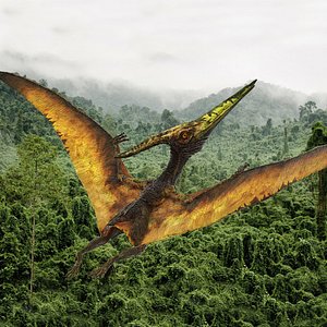 3D pteranodon flying carnivorous reptile model