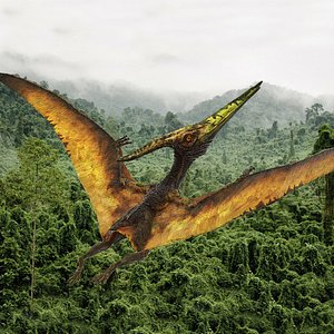 Pteranodon Flying Carnivorous Reptile Rigged for Maya