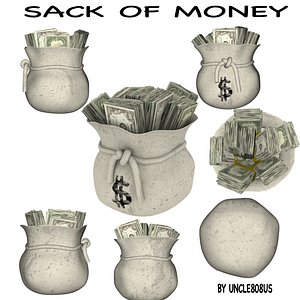 sack money 3d model