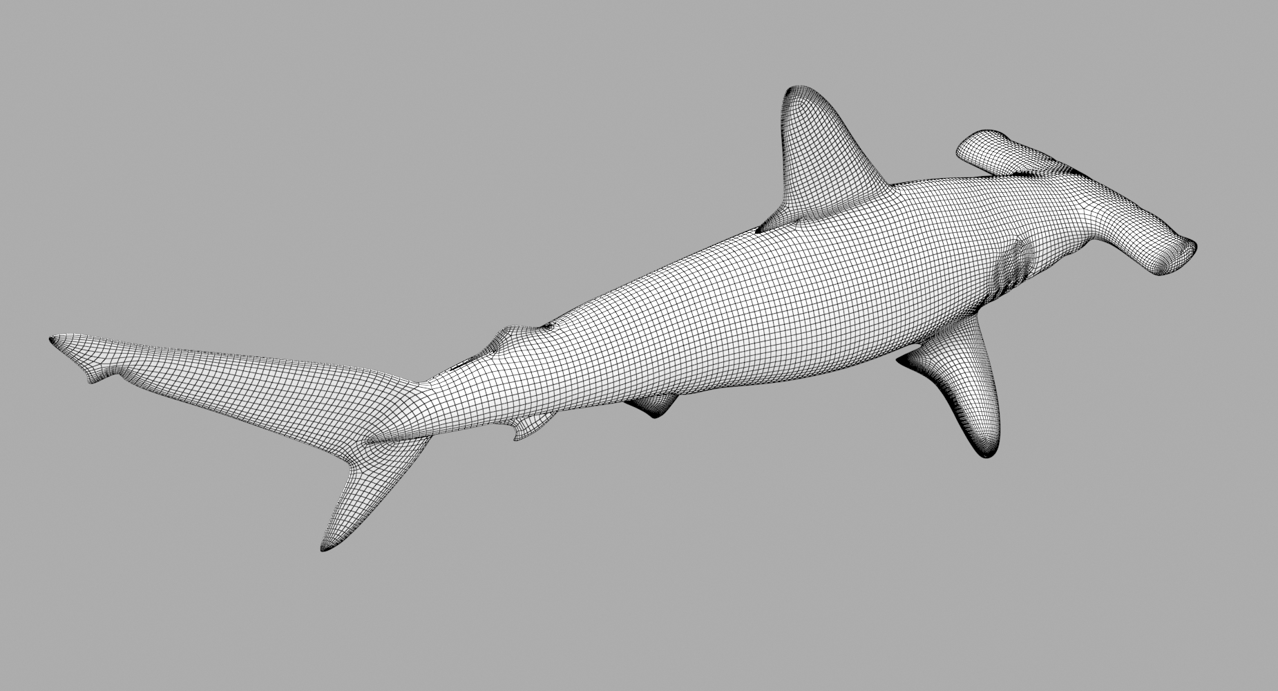 3D hammerhead shark - TurboSquid 1284622