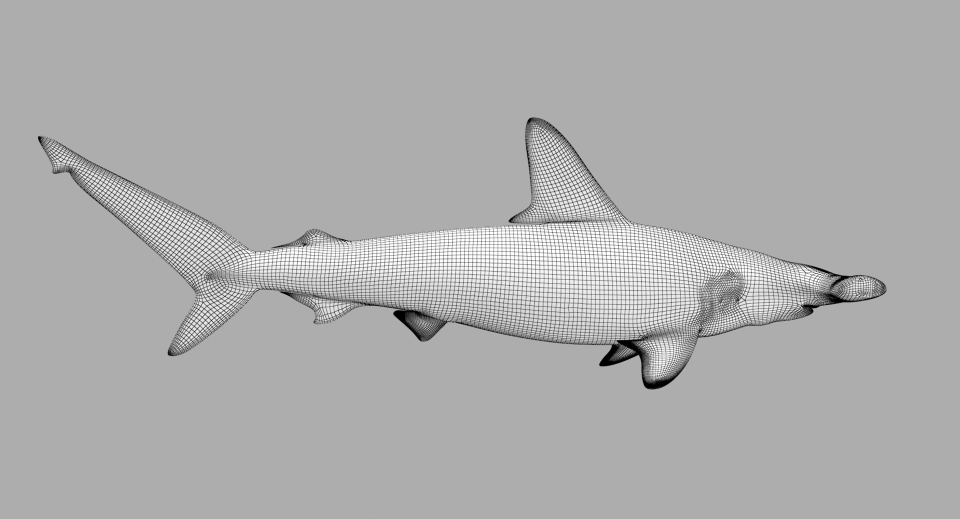 3D Hammerhead Shark - TurboSquid 1284622