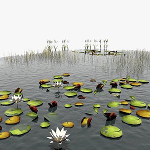 fishing pond 3d max