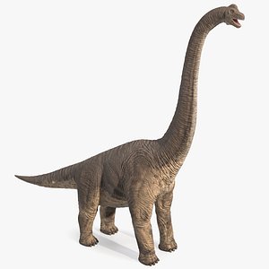 Brachiosaurus Standing Pose