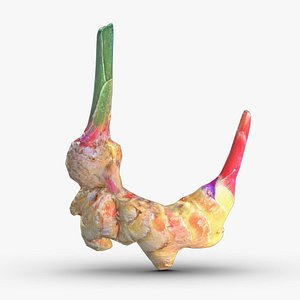 Turmeric Low Poly 3D model