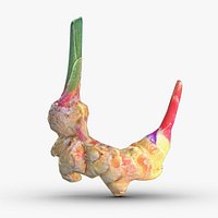 Turmeric Low Poly