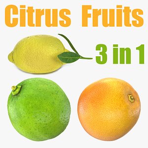 citrus fruits 3D model
