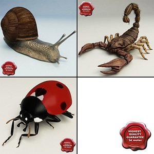 insects v5 3d model