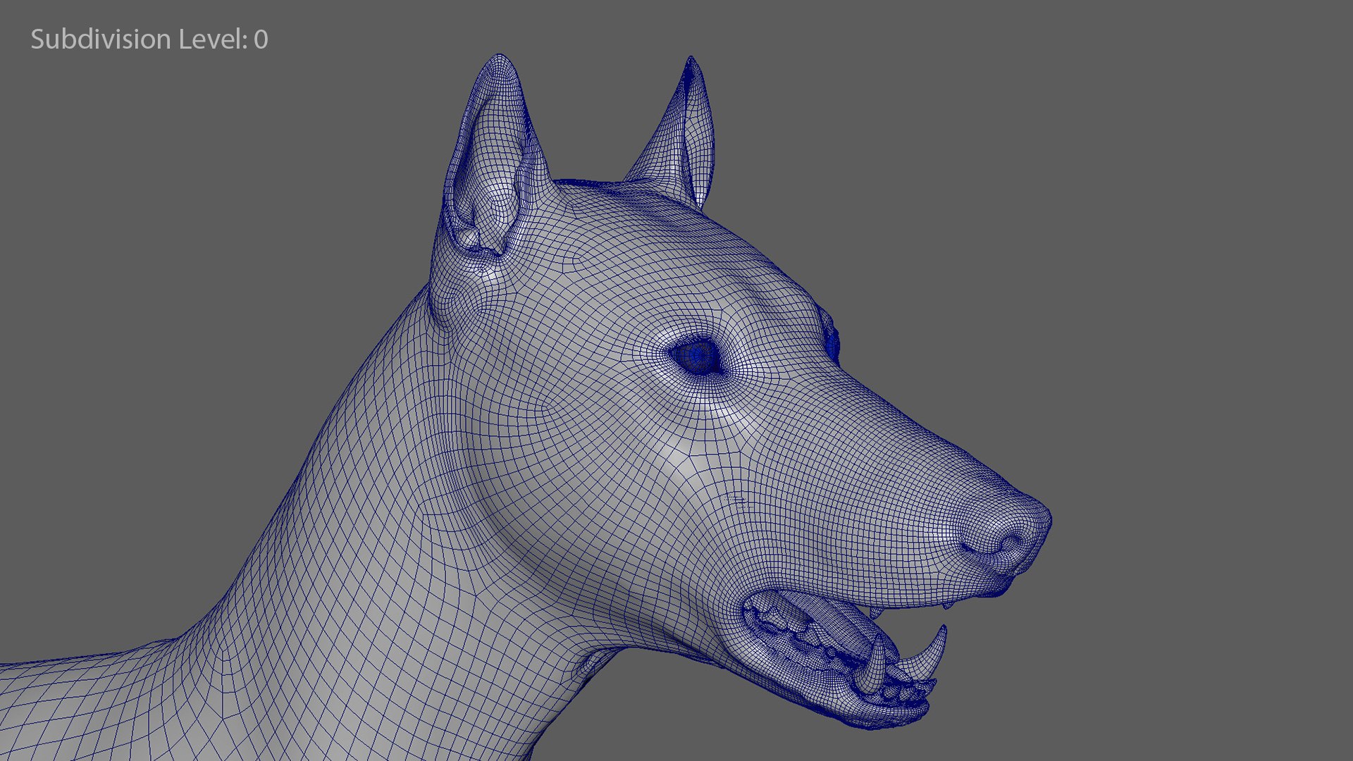 realistic rigged wolf natural 3D model https://p.turbosquid.com/ts-thumb/Fc/MolhaT/5p0grNMa/wolftopo_3/jpg/1595970388/1920x1080/fit_q87/2820e8eca4448e5e62ed1a9daf3046a95676497f/wolftopo_3.jpg