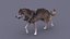 Gray Wolf Rigged
