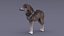 Gray Wolf Rigged