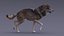 Gray Wolf Rigged