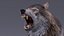 Gray Wolf Rigged