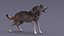 Gray Wolf Rigged