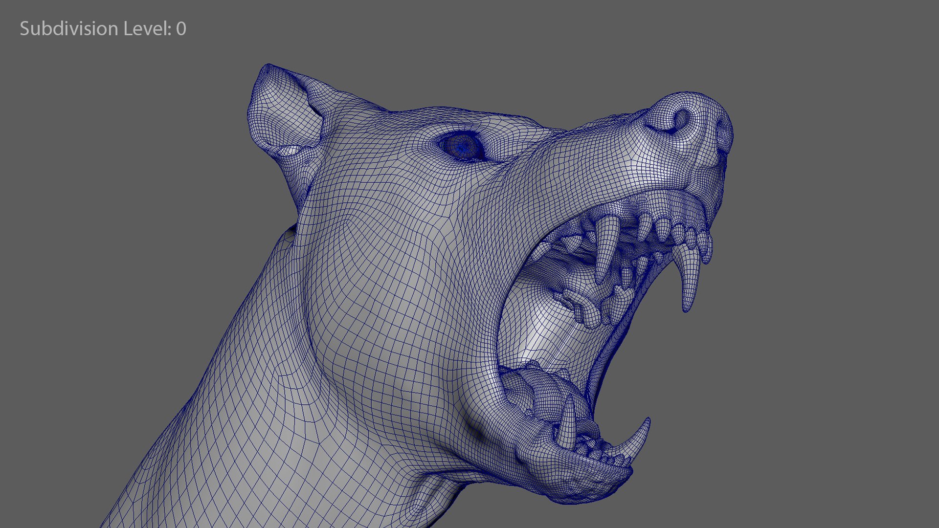 realistic rigged wolf natural 3D model https://p.turbosquid.com/ts-thumb/Fc/MolhaT/W4vSAGXN/wolftopo_2/jpg/1595970388/1920x1080/fit_q87/87a35a888a2ae23826a3e877447ebc115d3d97fb/wolftopo_2.jpg