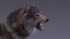Gray Wolf Rigged