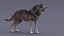 Gray Wolf Rigged