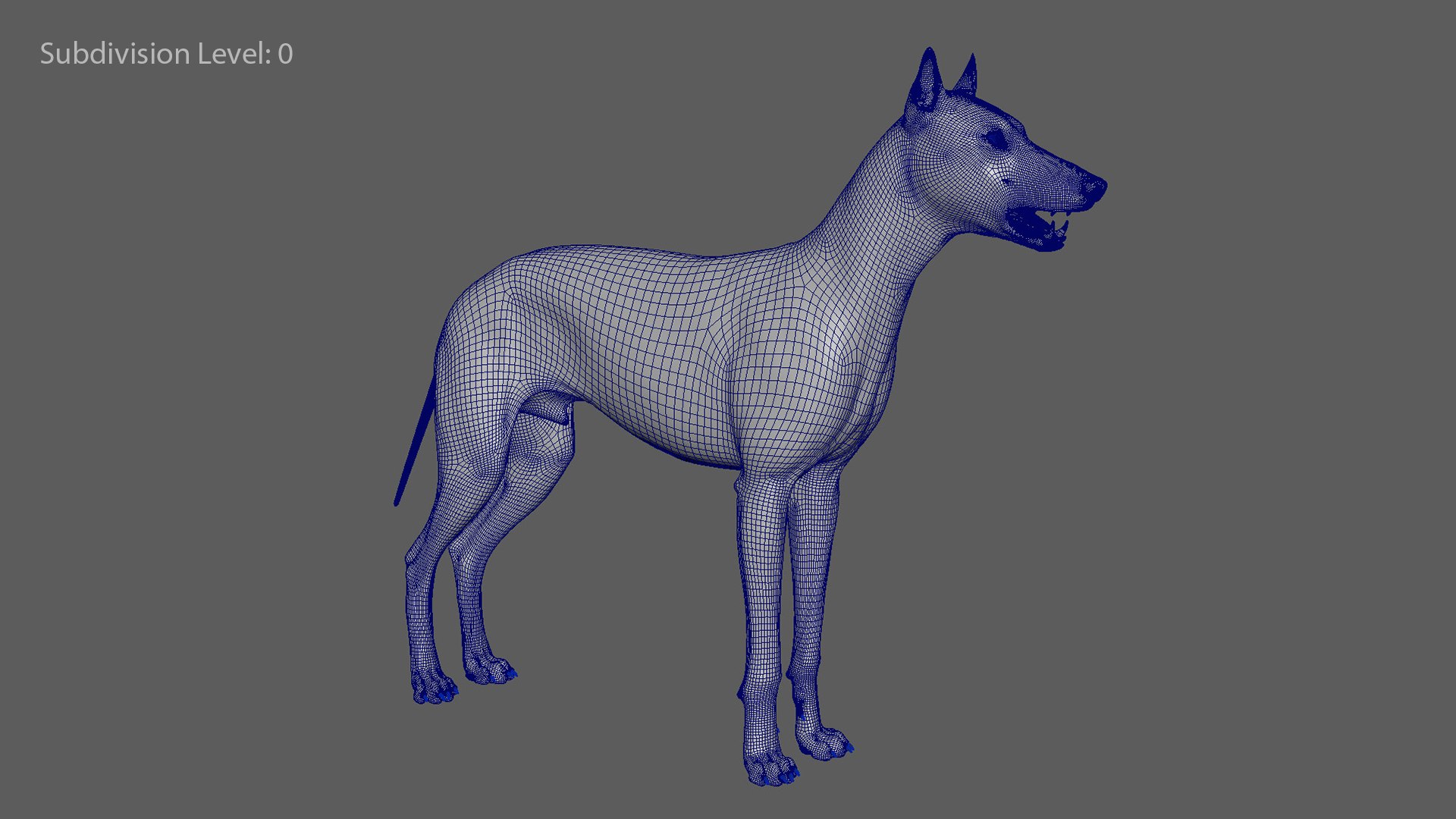 realistic rigged wolf natural 3D model https://p.turbosquid.com/ts-thumb/Fc/MolhaT/pCnYyL1j/wolftopo_5/jpg/1595970388/1920x1080/fit_q87/df35b51b53a14876286d7bfc9427b0012dca3780/wolftopo_5.jpg