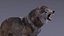 Gray Wolf Rigged