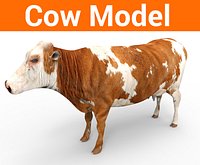Cow model