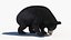 Sloth Bear Animated 2 3D model