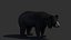Sloth Bear Animated 2 3D model
