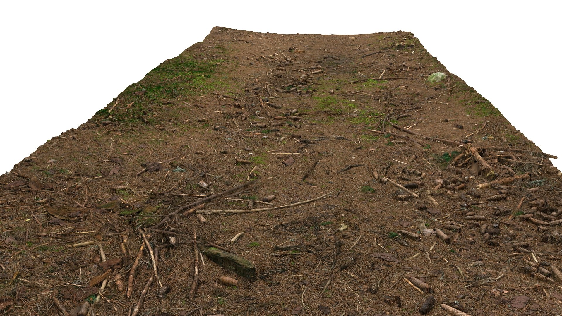 3d litter ground scan model https://p.turbosquid.com/ts-thumb/Fc/TYHEgE/3snu77ga/42123/jpg/1427162230/1920x1080/fit_q87/66f93448a45092c1f5c17c8c51ac0706eeae396c/42123.jpg
