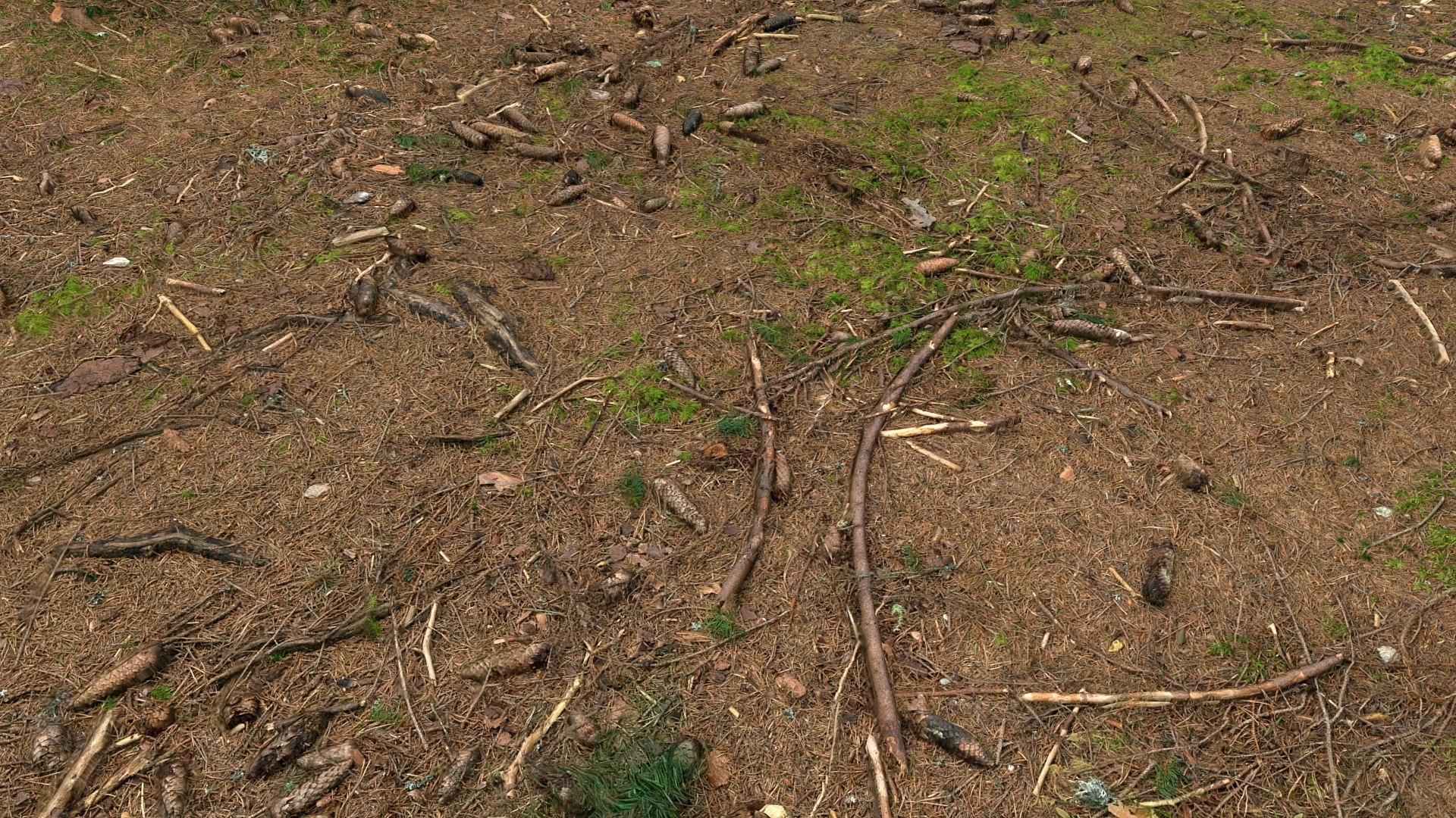 3d litter ground scan model https://p.turbosquid.com/ts-thumb/Fc/TYHEgE/9RWImsMo/xxx/jpg/1427162254/1920x1080/fit_q87/3cd24a111b43bc043ee978bebc07e557538cb594/xxx.jpg