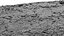 Forest litter ground  scan HD