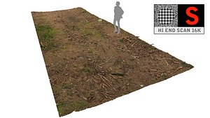 Forest litter ground  scan HD